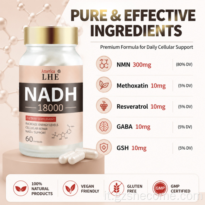 Shecome NADH Capsule Energia cellulare Supporto NAD+